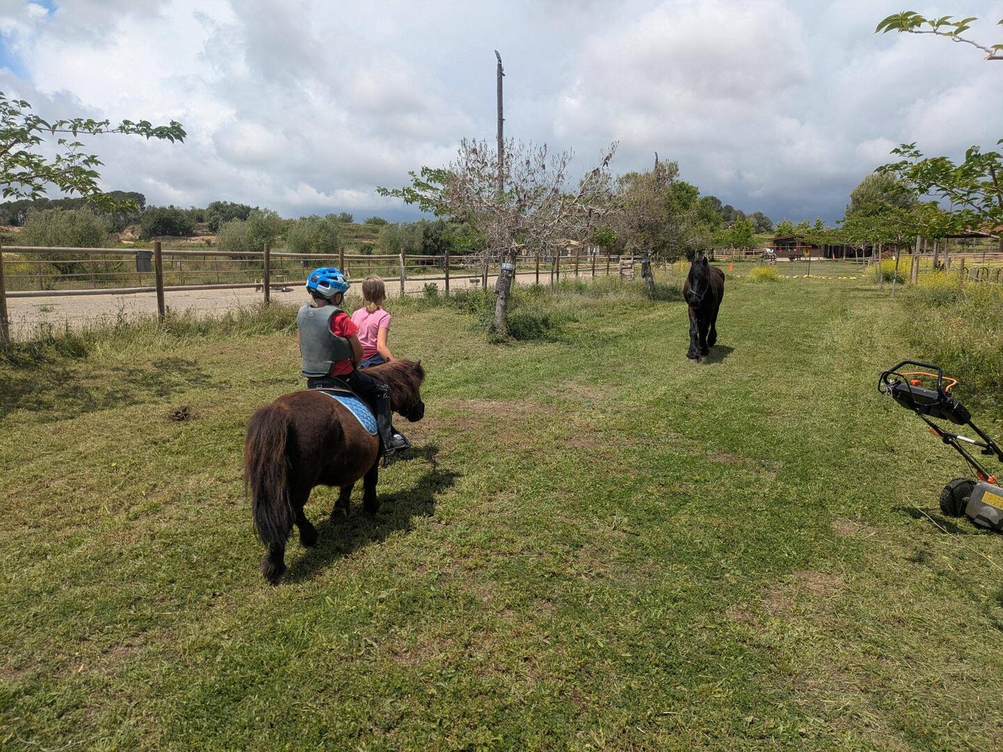 "Oskar's Pony" Petit