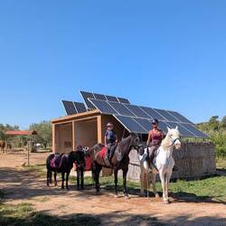 Ona, Triana und Pegaso