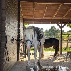 "Ich war das nicht!" soll das heißen 🤭