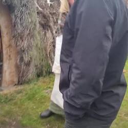 Wann kommt der nächste Bus?