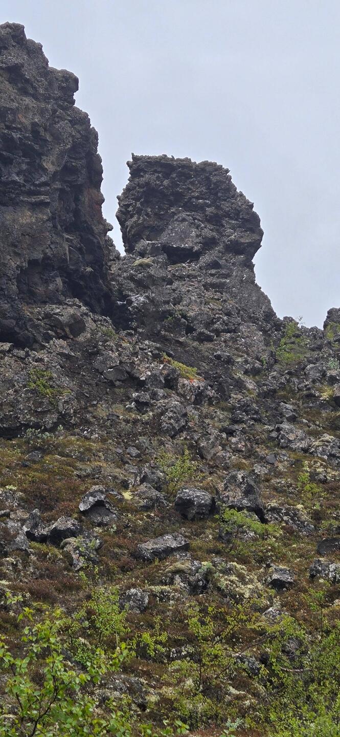 Do you see the troll's face?