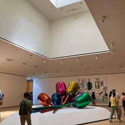 Pop Art Gallery: Tulip