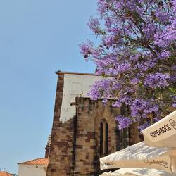 Suchbild: Finde den Storch