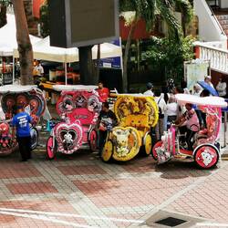 Verrückte Gefährte