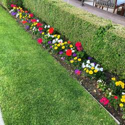 Flotte blomsterbede