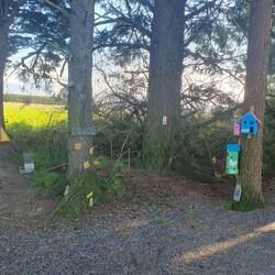 Methven Enchanted Forest