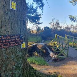 Methven Enchanted Forest