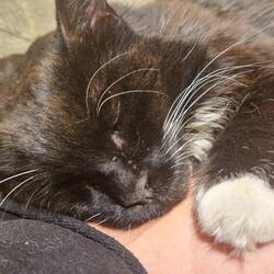 Our little guy was tired out from greeting his admirers