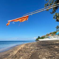 Pendant ce temps Monique fait du snorkeling sur des récifs coralliens à 1m de la surface 🥳😎
