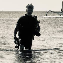 Sortie de plongée des étoiles de mer dans les yeux ! 🤩