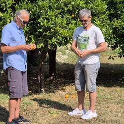 mmmhh - die vom Baum gefallenen 🍊🍊🍊 Orangen waren wunderbar süß