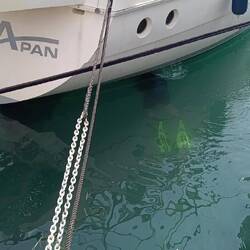 ... reinigt das Unterwasserschiff ...
