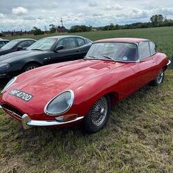 Some of the cars on show