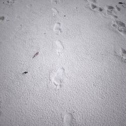 Hinterlasse Spuren im Sand