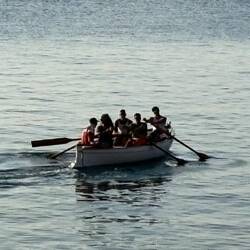 Row row row the boat ,,,