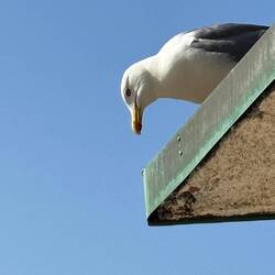 Was gibt's da unten?