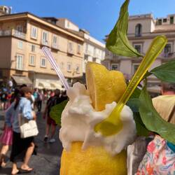 Zitronensorbet, so lecker.