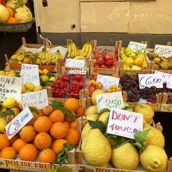 Mega Zitronen in Sorrento.