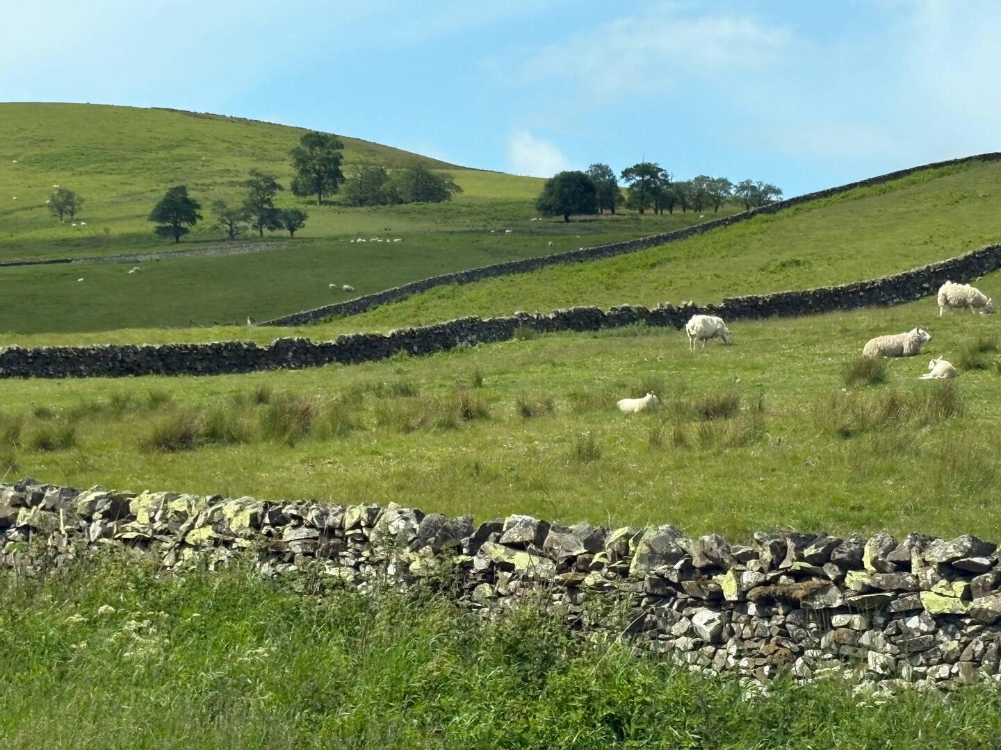 Stone walls are the main type of fencing