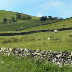 Stone walls are the main type of fencing