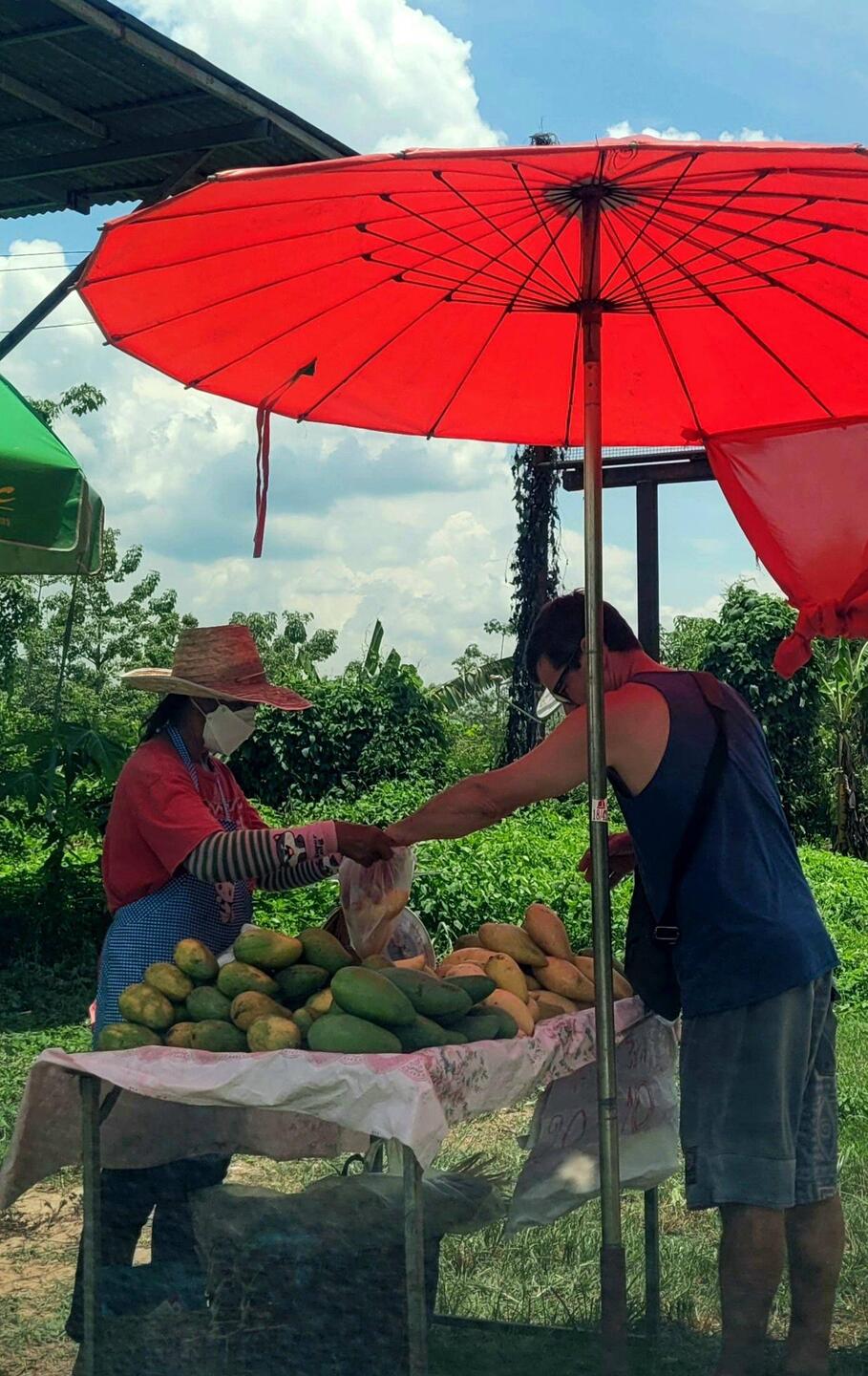 A Mangos buying roadside mangos- 30 baht for a bag of deliciousness !
