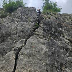 But made it to the top!