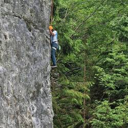 Tute looking for the right beta?