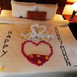 Das haben sie so schön gemacht 🤩