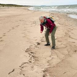 wir suchen Bernstein
