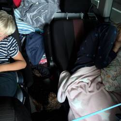 Alle schlafen sie ganz lieb.... 😴