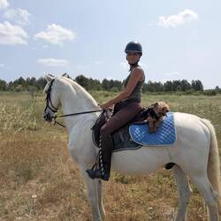 Honey darf den Rückweg mitreiten