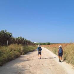 The long and winding road