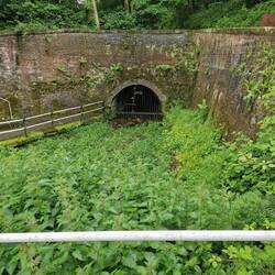 Reed beds have been planted to help filter the water leeching from the now closed Brindley Tunnel