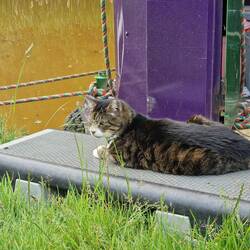 Abby is still enjoying life despite the discovery of a heart murmer