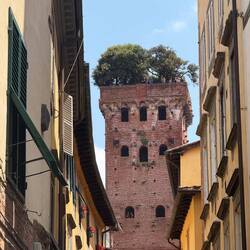 Check out the trees on top! We are headed up!