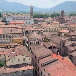 Video view atop Guinigi Tower