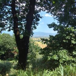 Schöner Ausblick