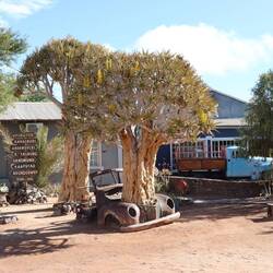 ... schließlich kommt die Sonne raus, es bleibt jedoch eiskalt