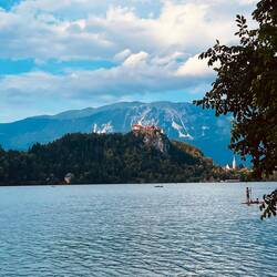 Über dem See in Bled thront die Burg
