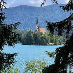 Die einzige Insel Sloweniens, mitten im See
