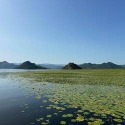 Es sieht aber auch wirklich aus wie in Thailand