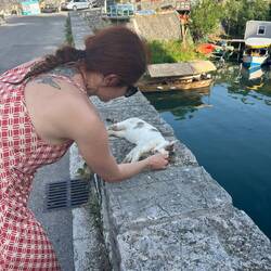 Hier ist jemand ganz fest am geniessen