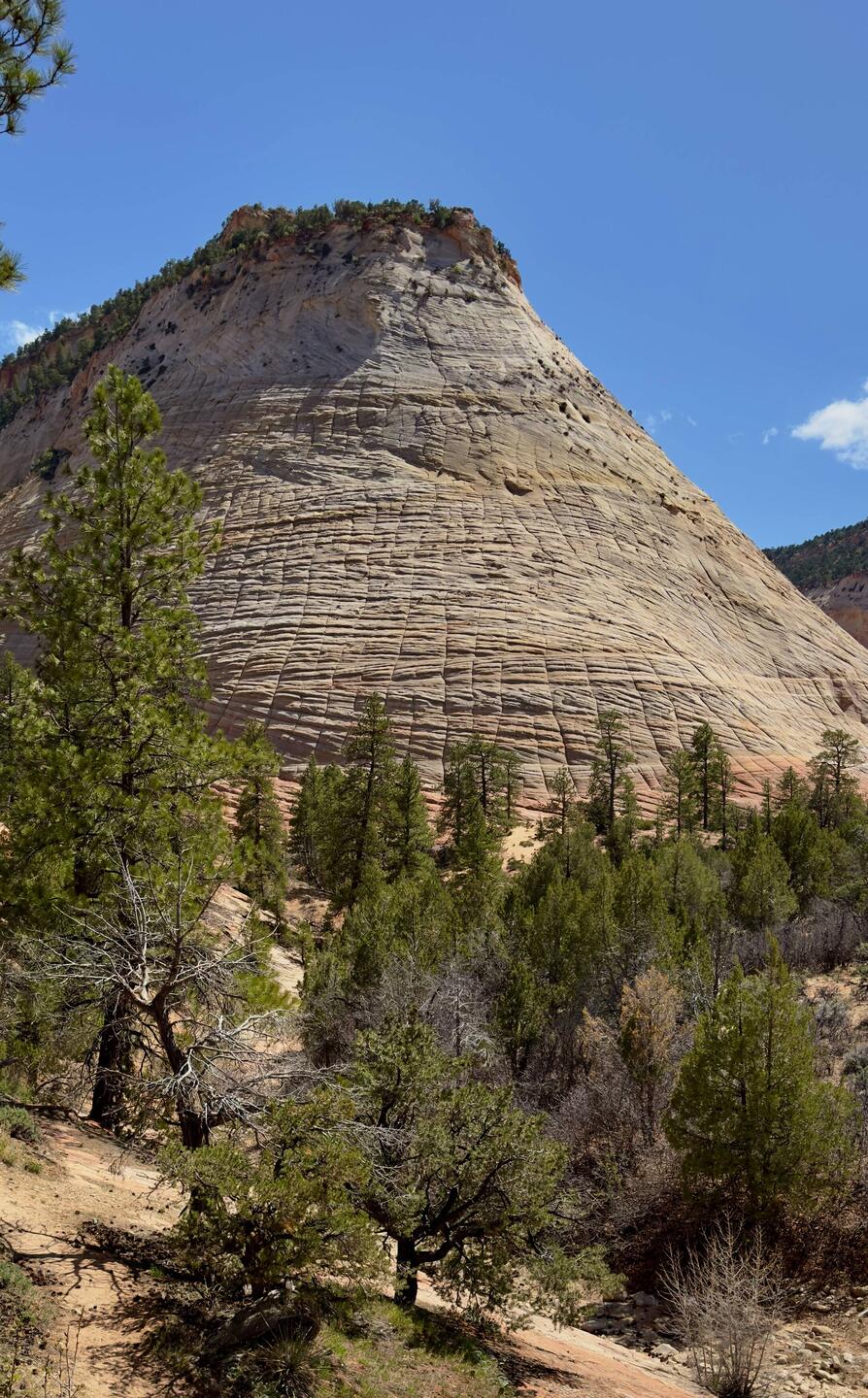 Checkerboard Mesa