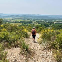 Abwechslungsreiche Wegstrecke