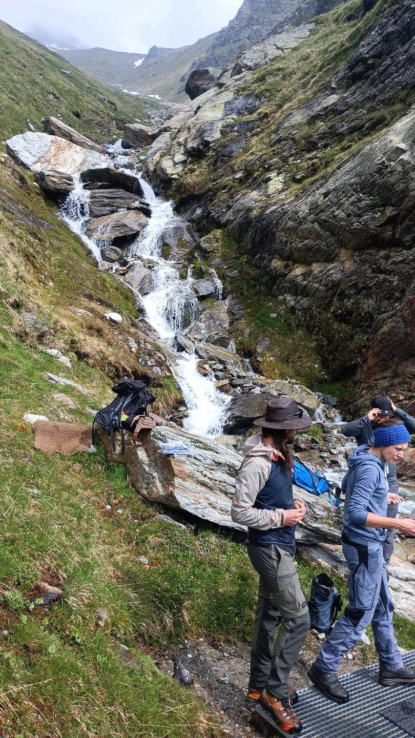Wir befestigen Matten auf den Brücken weil die Ziegen sich sonst nicht rüber trauen