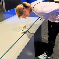 Ein anderes Universum in der Handfläche