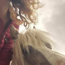 Horsilove
