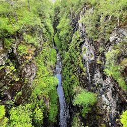 Corrieshalloch Gorge (Schlucht)