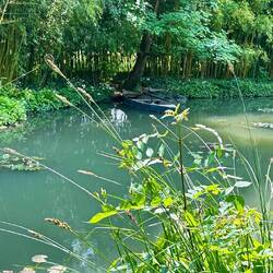 Garten von Monet in Giverny