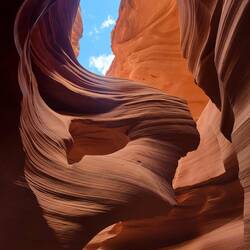 Die Frau im Wind machte den Fotografen steinreich